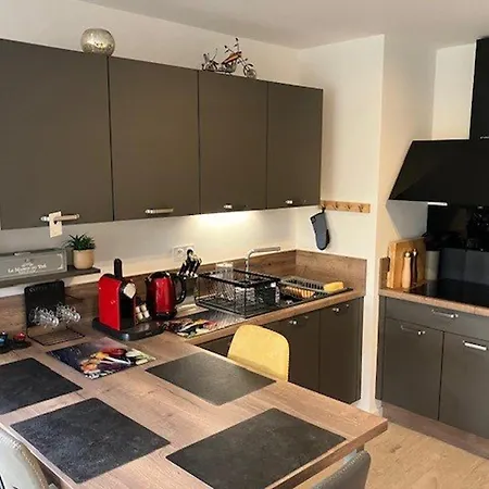 Calme, Jardin, 4 Pers, Proche Et Commerces, Parking, Normes Handicapes - Fr-1-494-167 公寓 鲁瓦扬